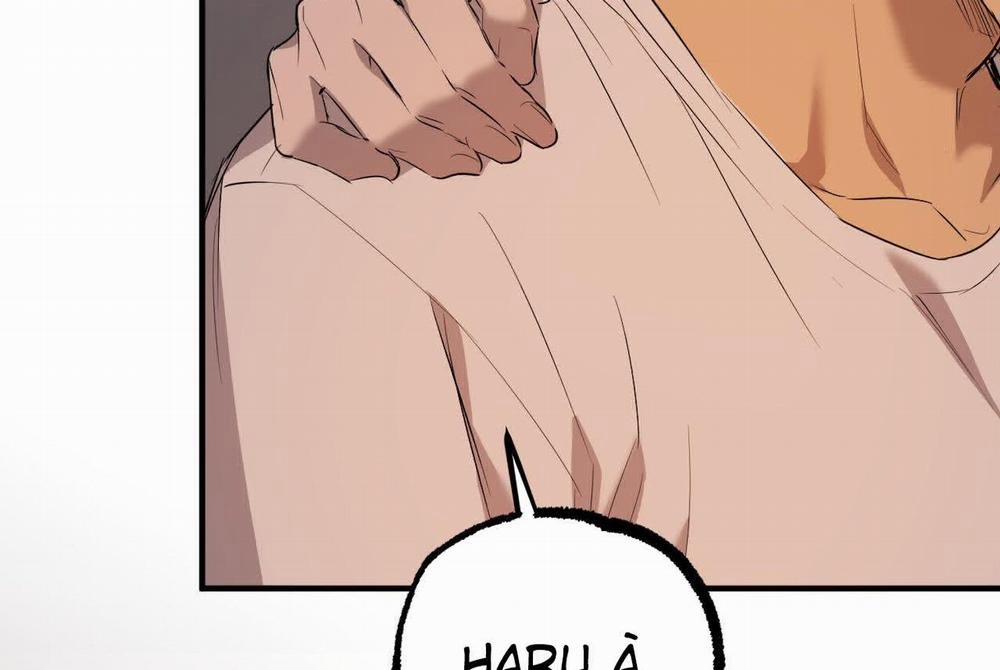 Đàn Thỏ Của Habibi 57 trang 37