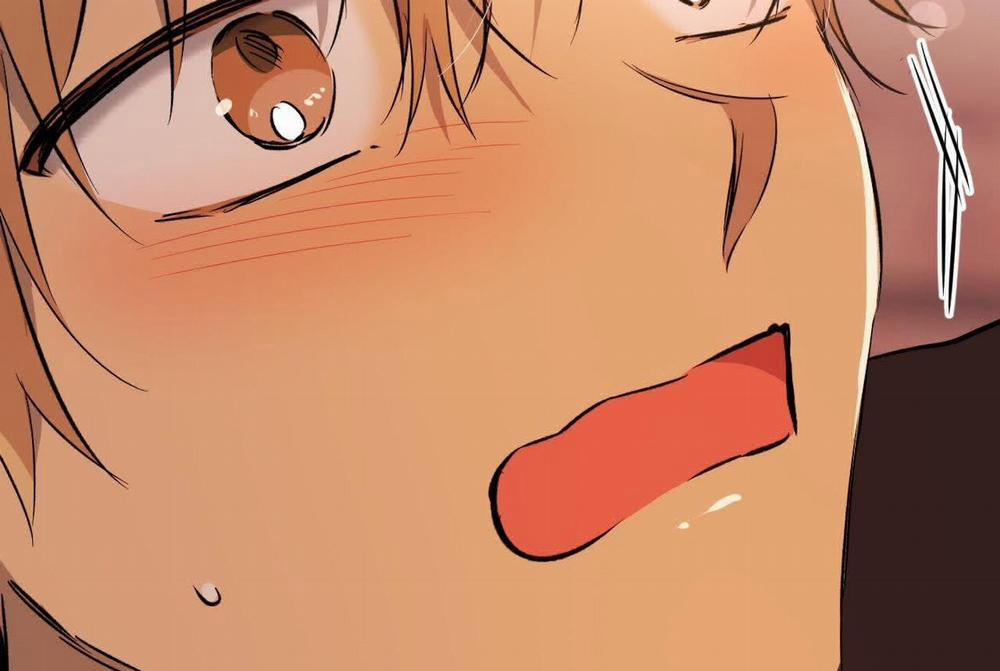 Đàn Thỏ Của Habibi 57 trang 43