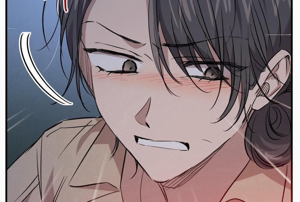 Đàn Thỏ Của Habibi 58 trang 146