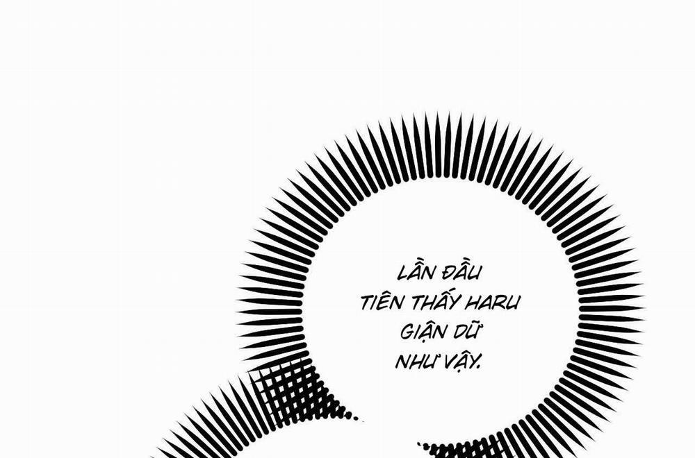 Đàn Thỏ Của Habibi 58 trang 158