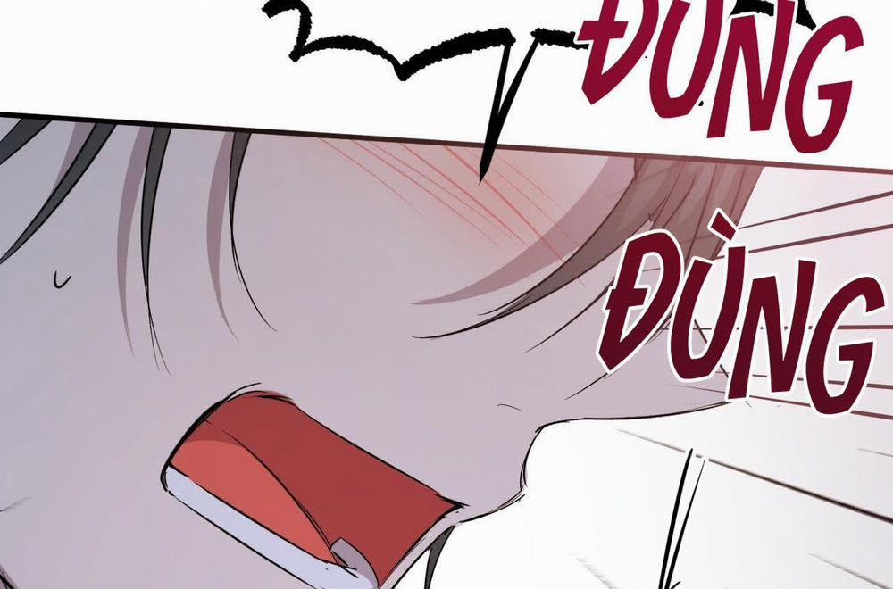 Đàn Thỏ Của Habibi 58 trang 164