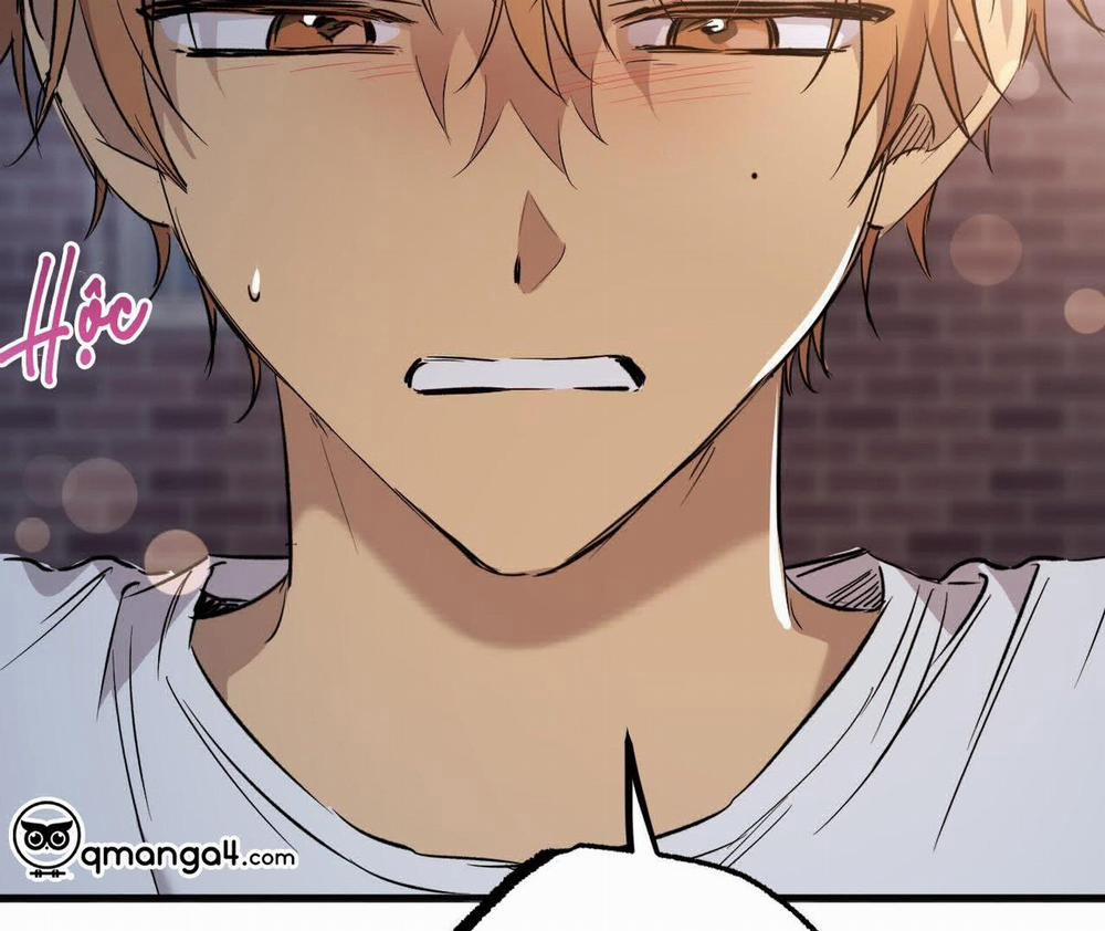 Đàn Thỏ Của Habibi 58 trang 189