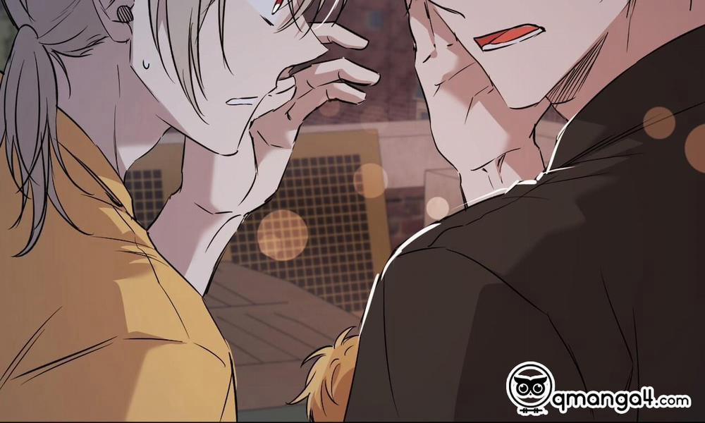 Đàn Thỏ Của Habibi 58 trang 210