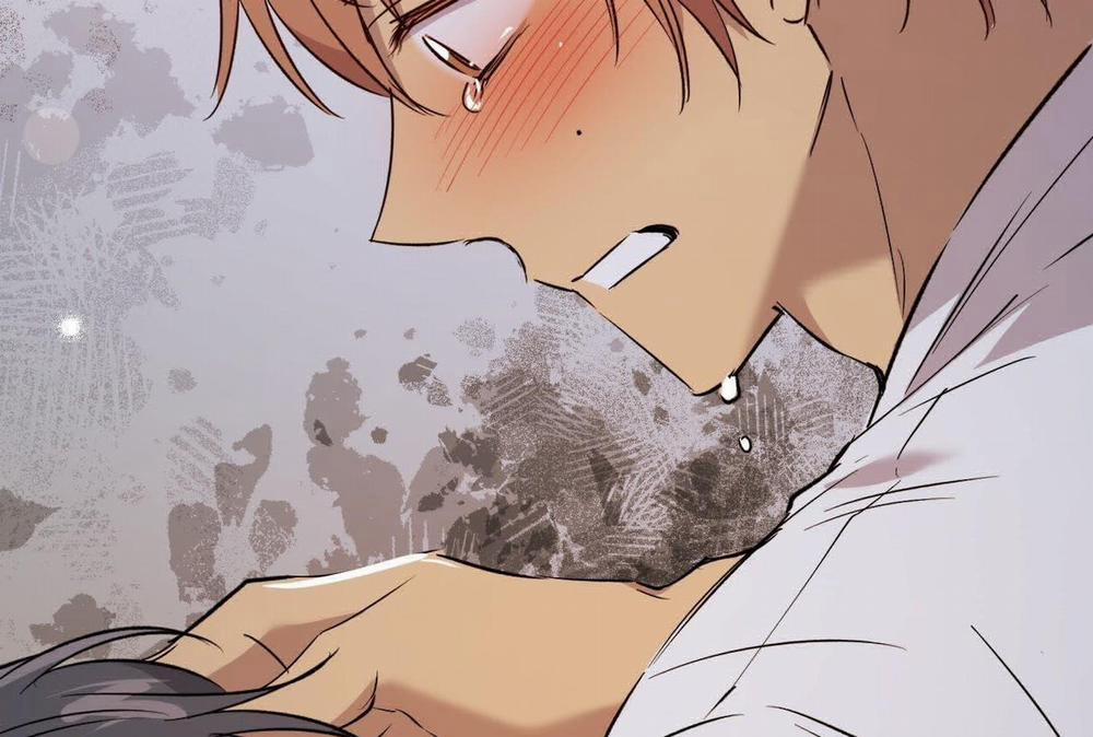 Đàn Thỏ Của Habibi 58 trang 243