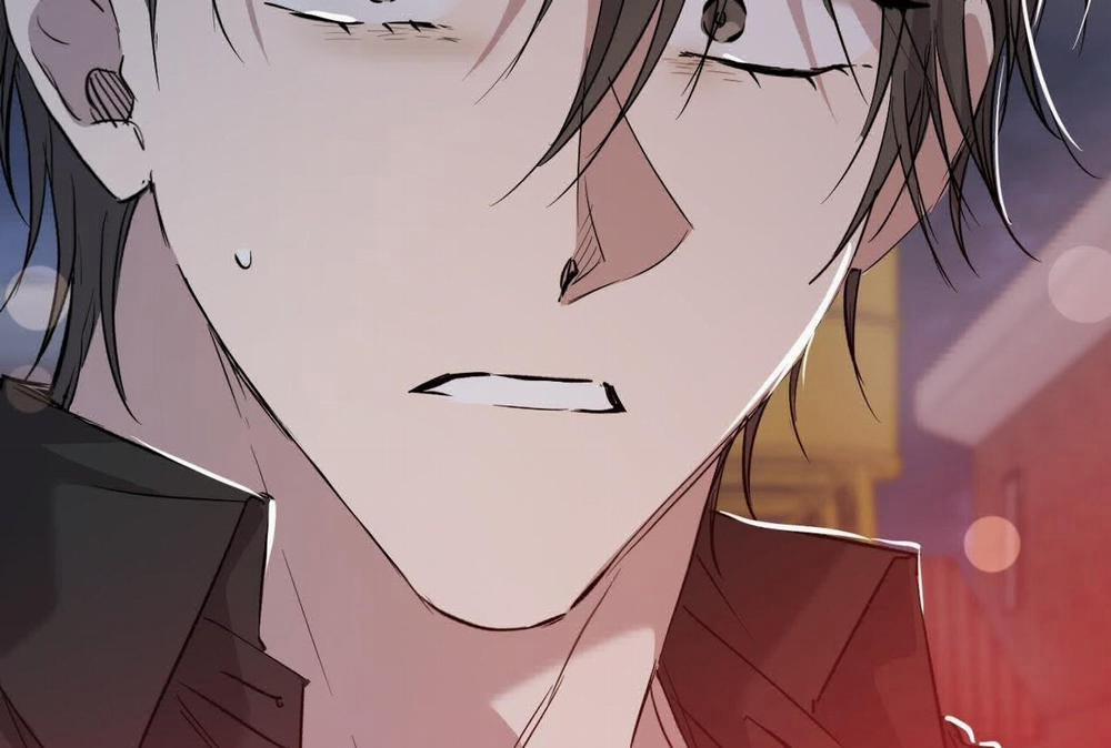 Đàn Thỏ Của Habibi 58 trang 246