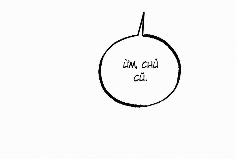 Đàn Thỏ Của Habibi 58 trang 40