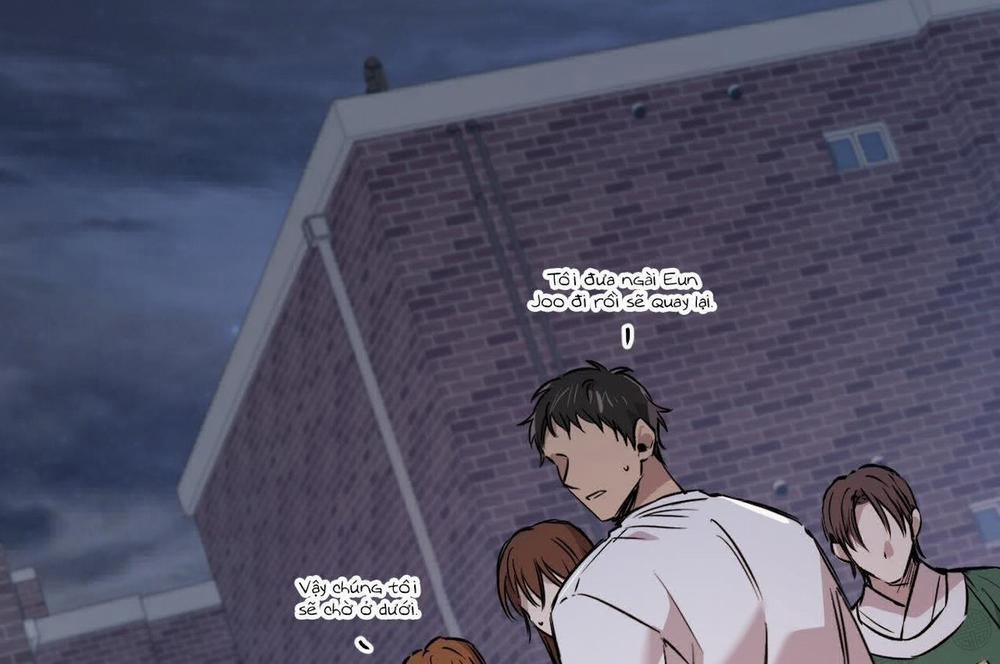 Đàn Thỏ Của Habibi 59 trang 161