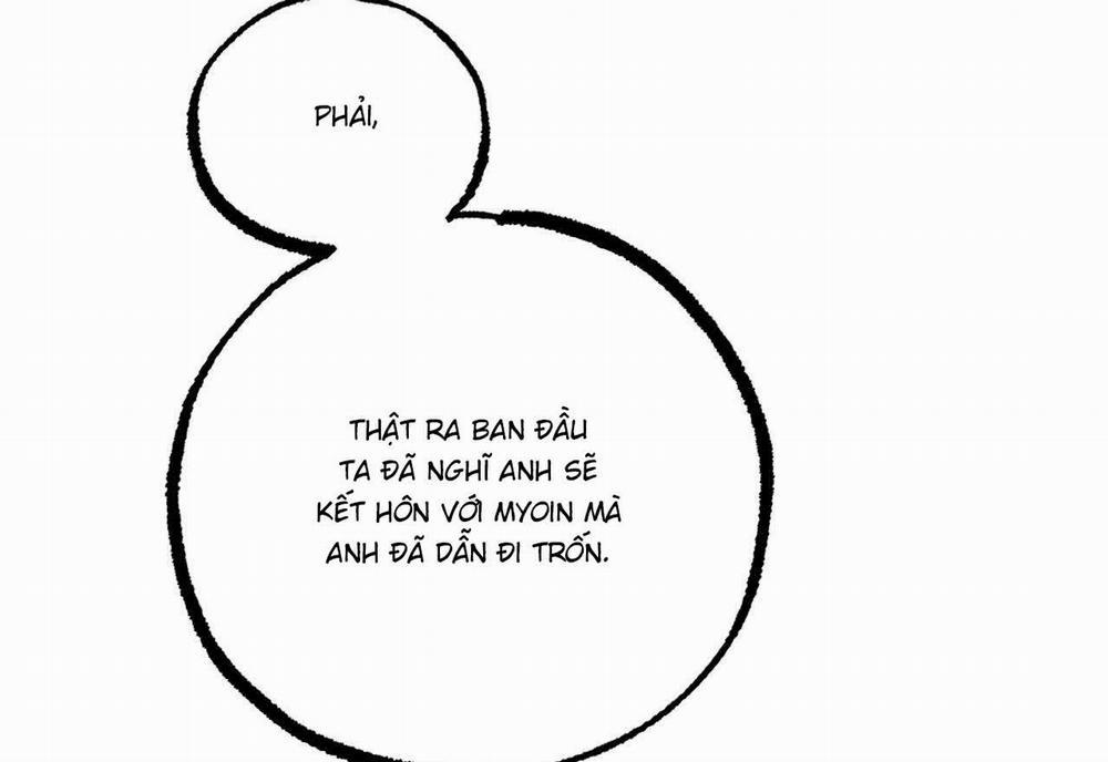 Đàn Thỏ Của Habibi 59 trang 186