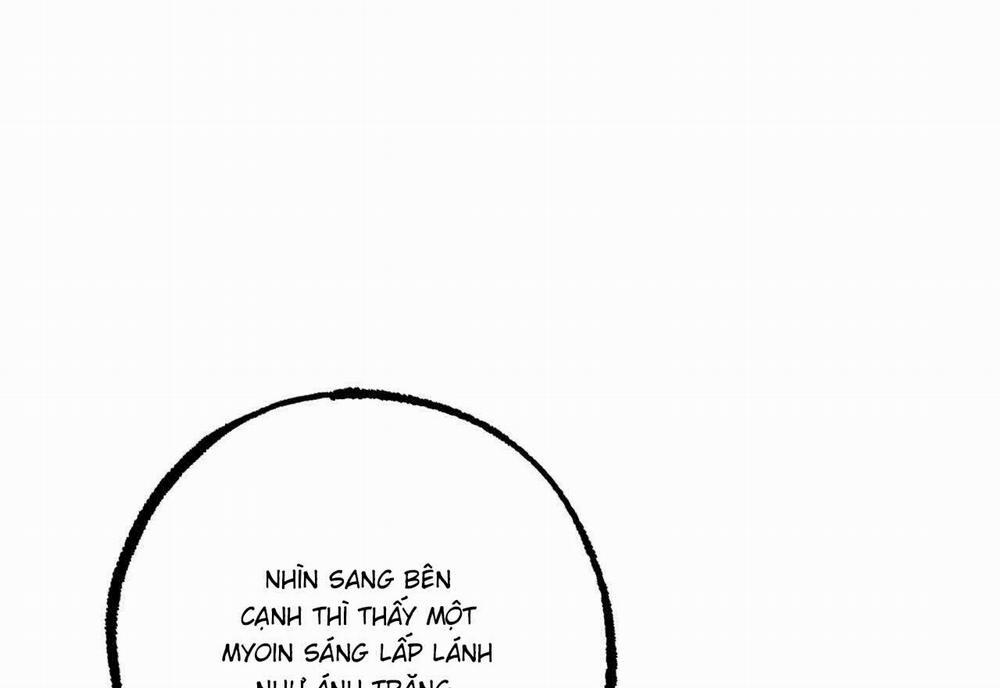 Đàn Thỏ Của Habibi 59 trang 192