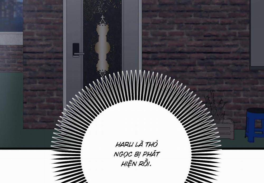 Đàn Thỏ Của Habibi 59 trang 208