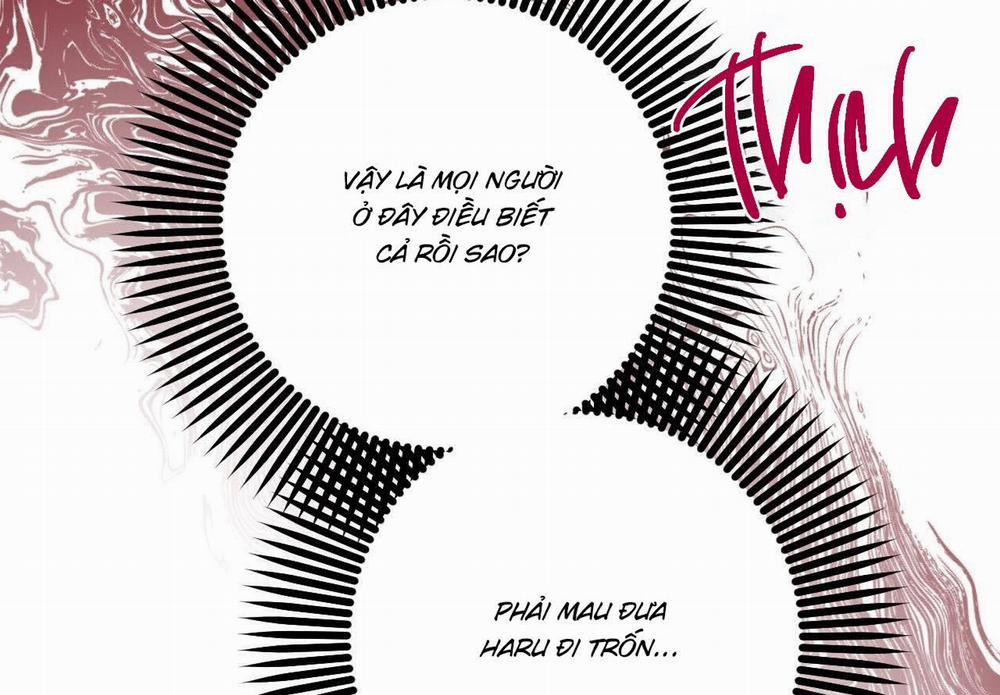 Đàn Thỏ Của Habibi 59 trang 211