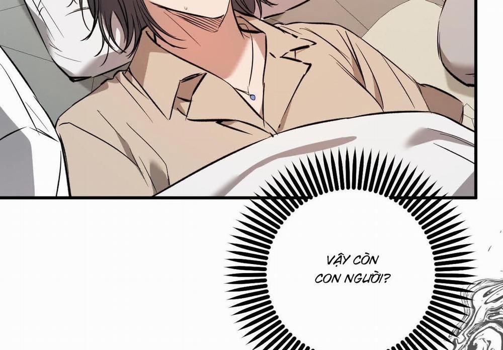 Đàn Thỏ Của Habibi 59 trang 214