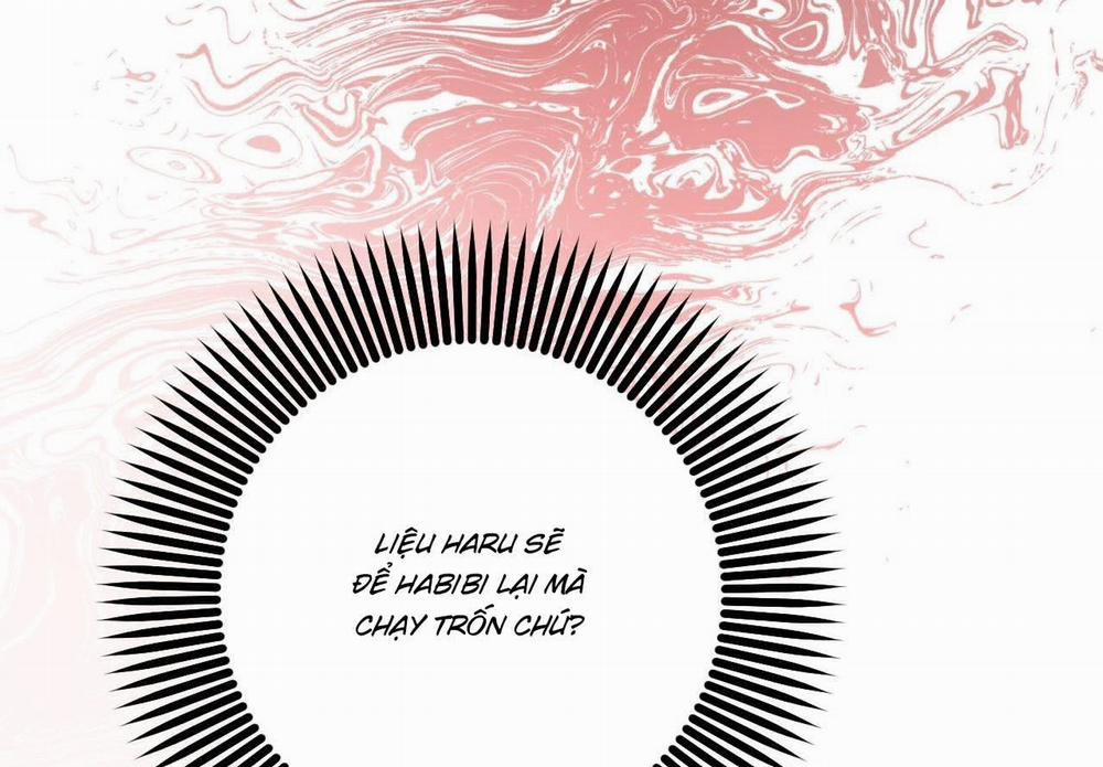Đàn Thỏ Của Habibi 59 trang 216