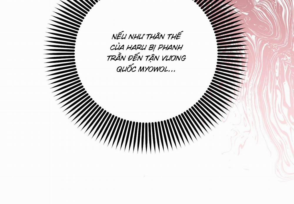 Đàn Thỏ Của Habibi 59 trang 220