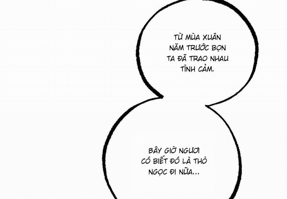 Đàn Thỏ Của Habibi 59 trang 229