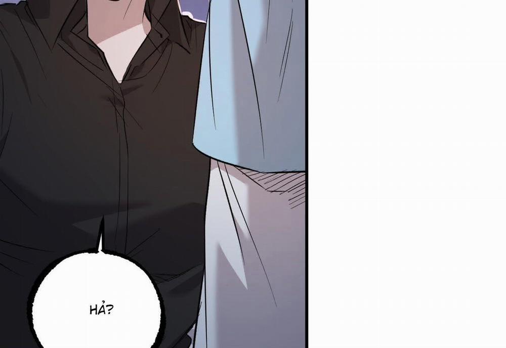 Đàn Thỏ Của Habibi 59 trang 235