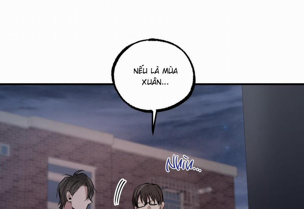 Đàn Thỏ Của Habibi 59 trang 237