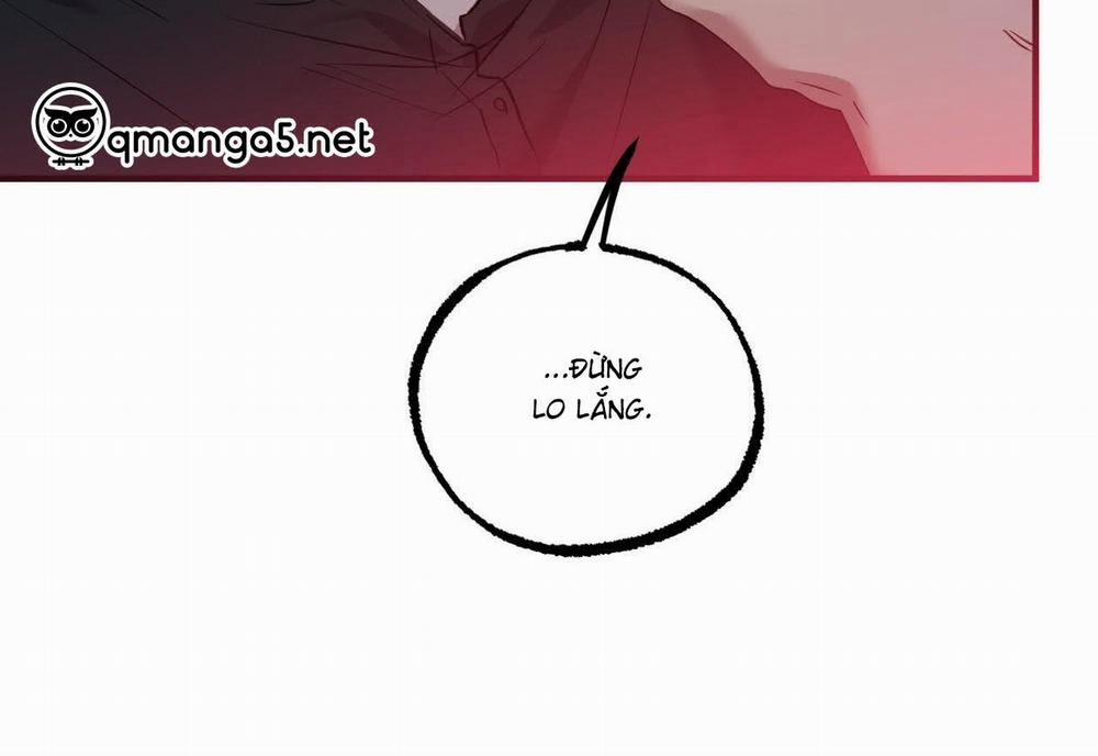 Đàn Thỏ Của Habibi 59 trang 257