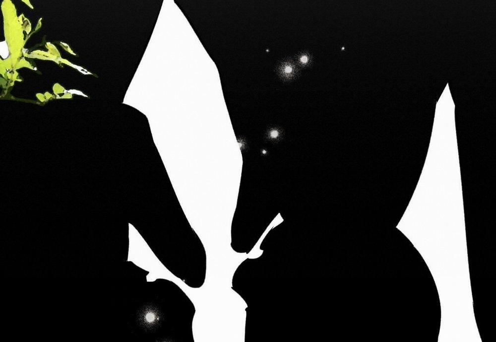 Đàn Thỏ Của Habibi 59 trang 29