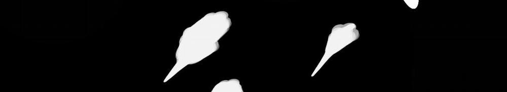 Đàn Thỏ Của Habibi 59 trang 291