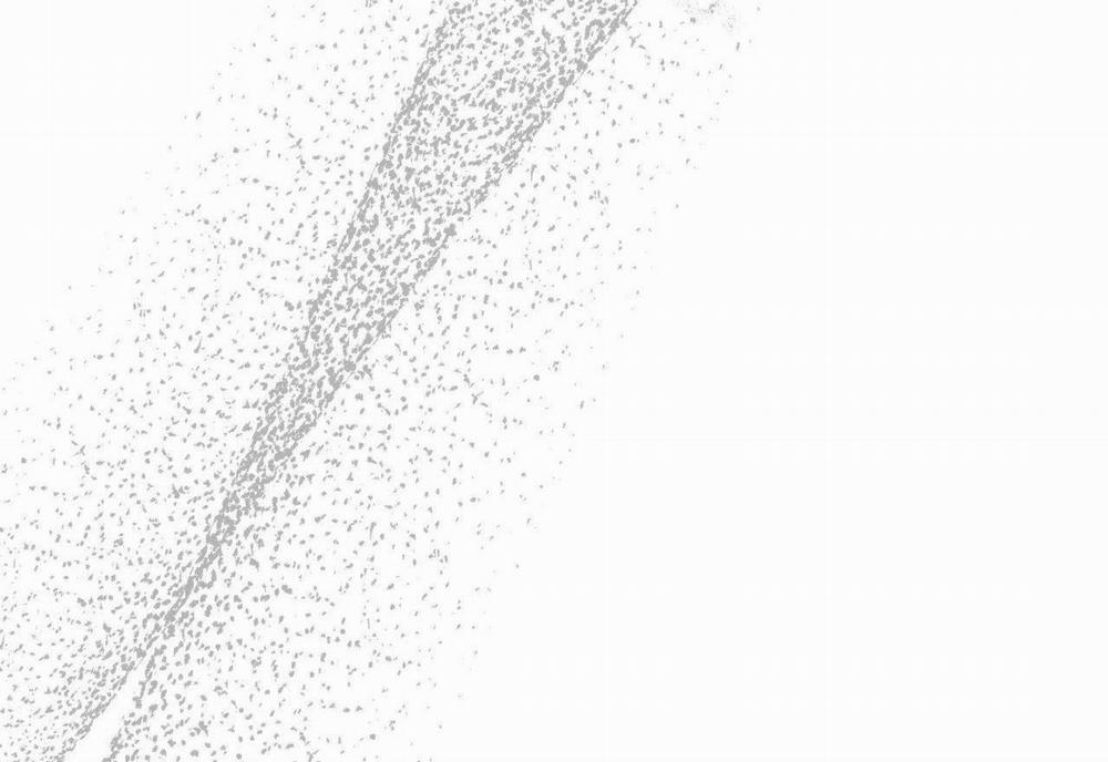 Đàn Thỏ Của Habibi 59 trang 37