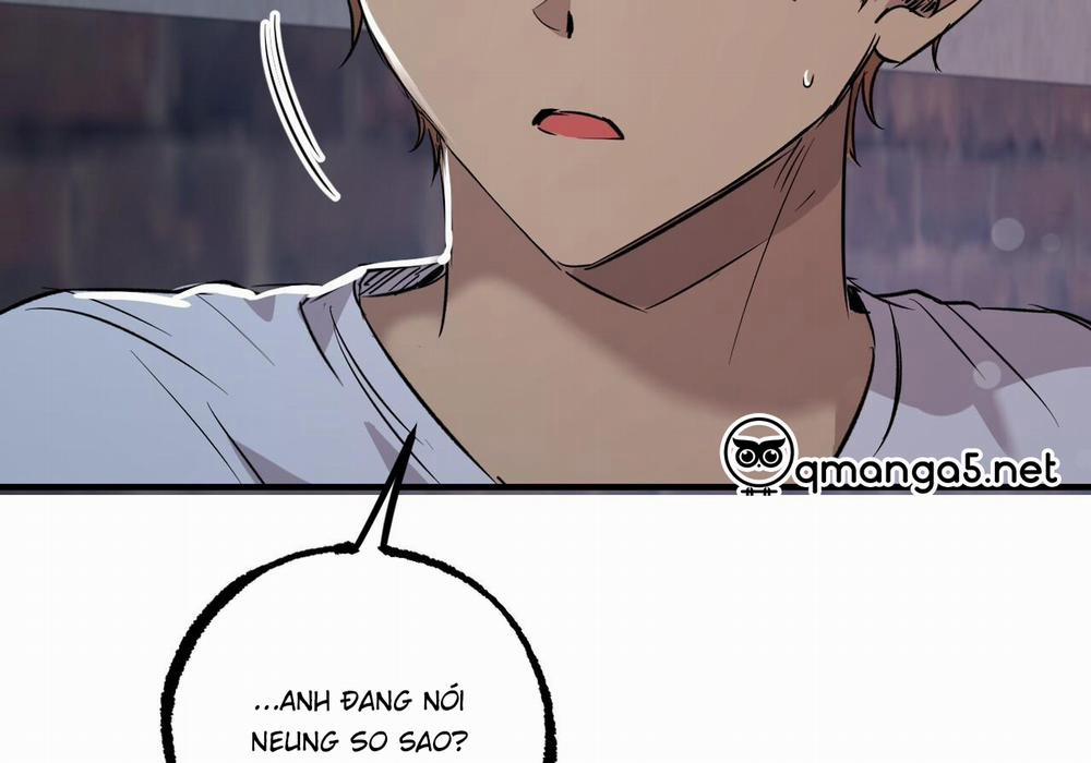 Đàn Thỏ Của Habibi 60 trang 125