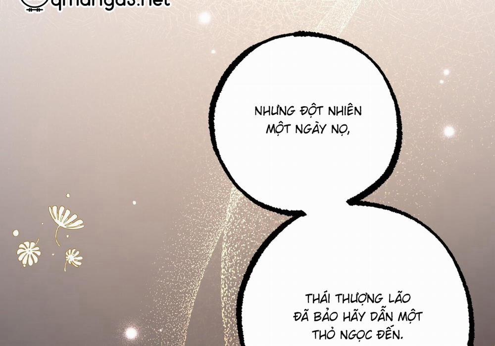 Đàn Thỏ Của Habibi 60 trang 137