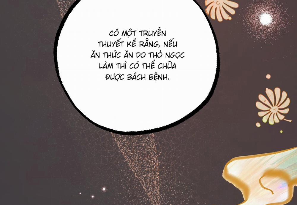 Đàn Thỏ Của Habibi 60 trang 141