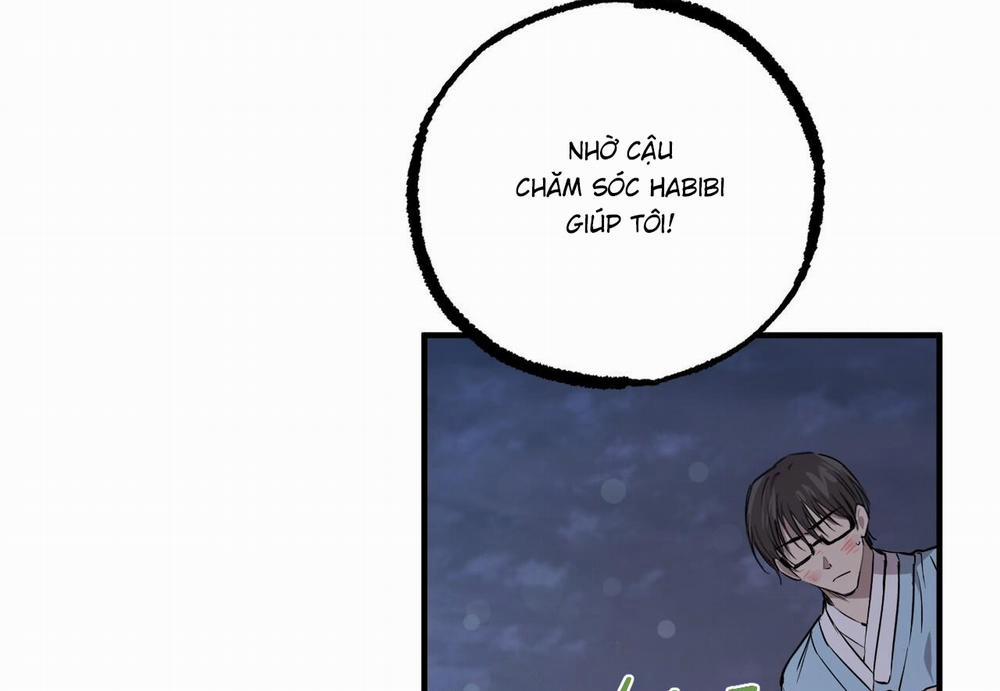 Đàn Thỏ Của Habibi 60 trang 202