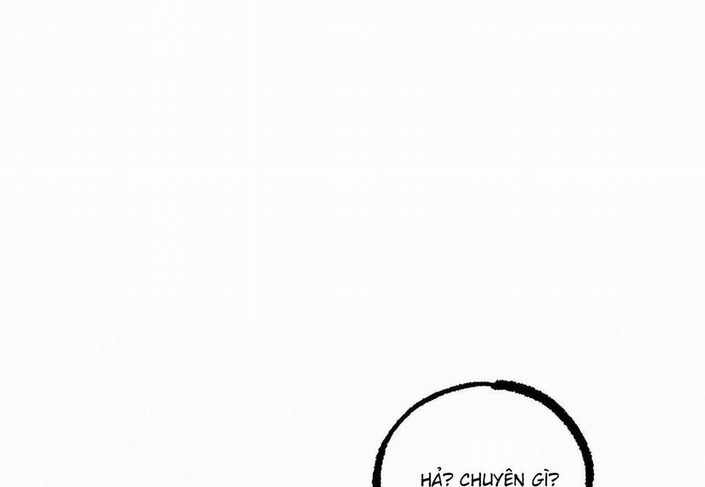 Đàn Thỏ Của Habibi 60 trang 216