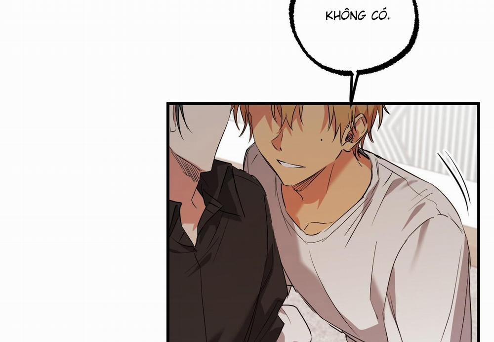 Đàn Thỏ Của Habibi 60 trang 235