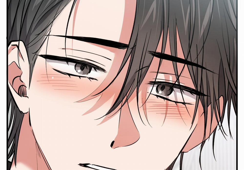 Đàn Thỏ Của Habibi 60 trang 252