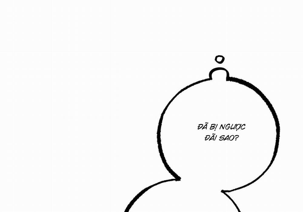 Đàn Thỏ Của Habibi 60 trang 254