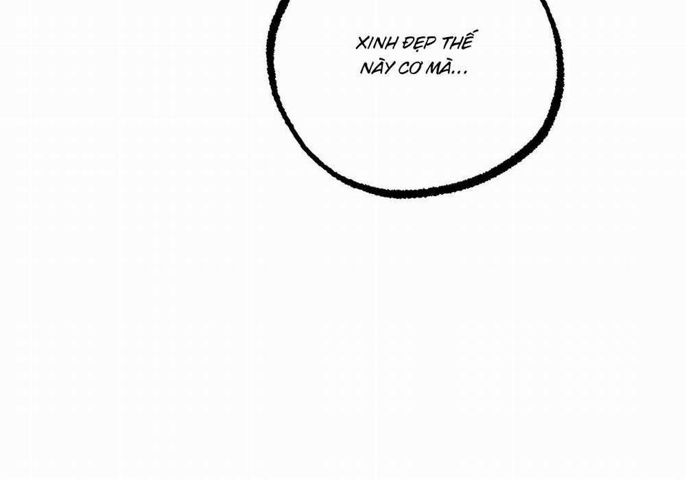 Đàn Thỏ Của Habibi 60 trang 255