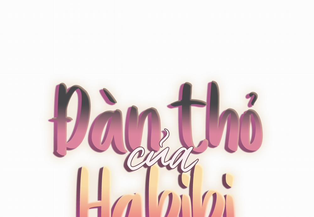 Đàn Thỏ Của Habibi 60 trang 37