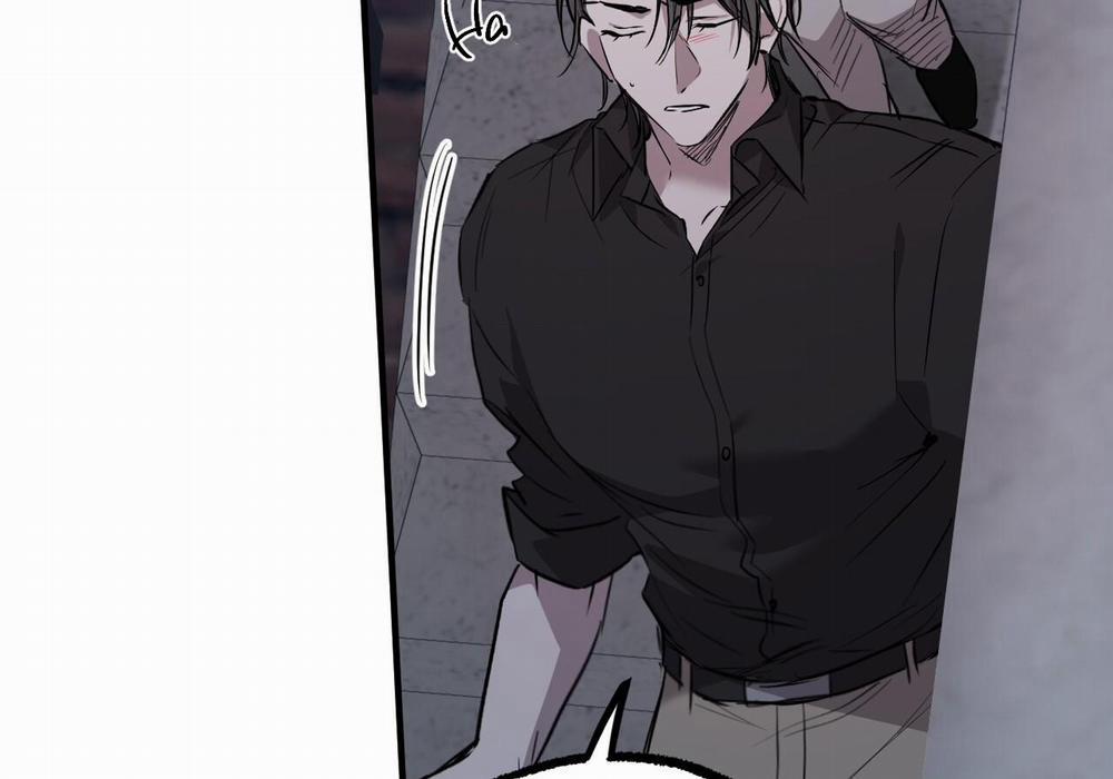 Đàn Thỏ Của Habibi 60 trang 73