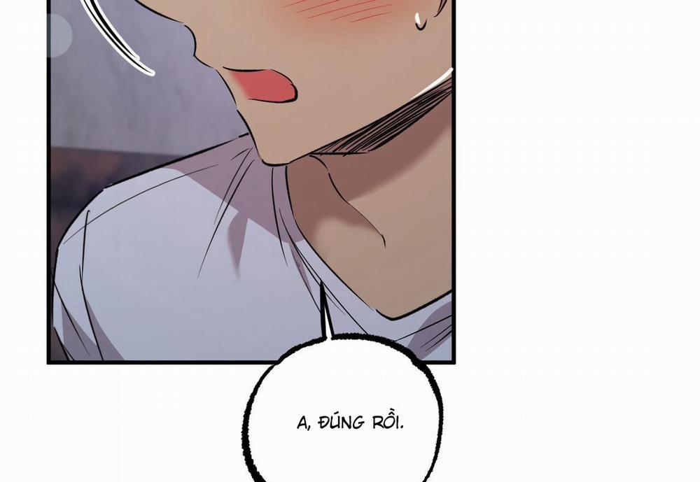 Đàn Thỏ Của Habibi 60 trang 98