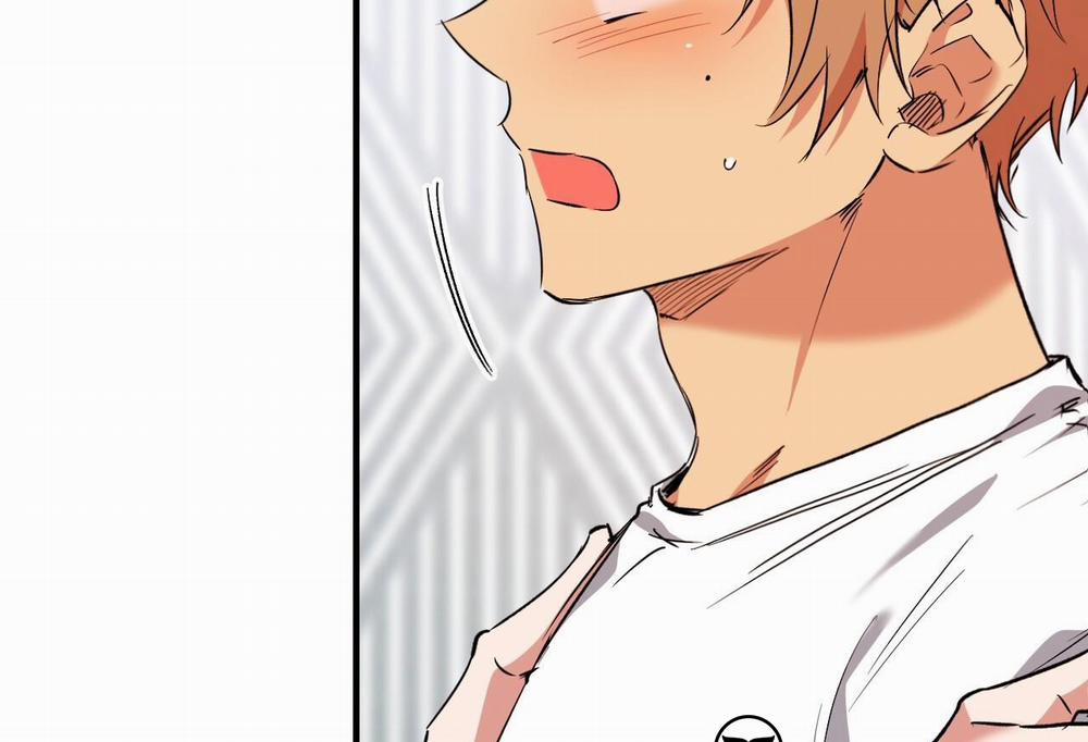 Đàn Thỏ Của Habibi 61 trang 17