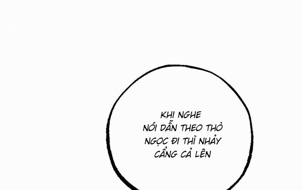 Đàn Thỏ Của Habibi 61 trang 171