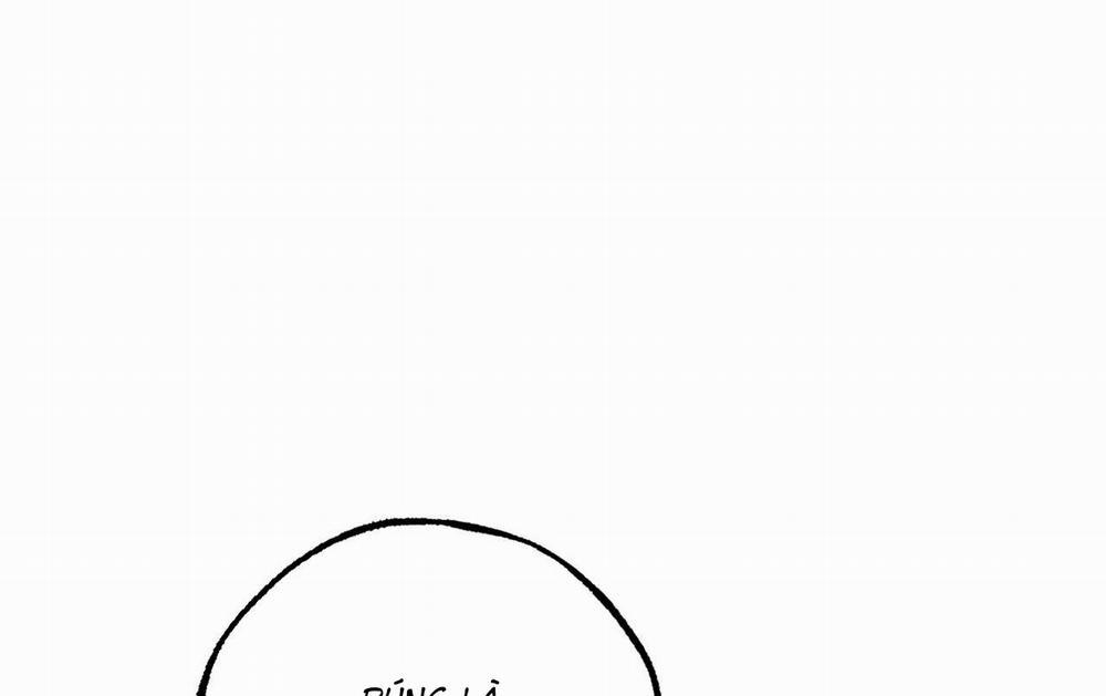 Đàn Thỏ Của Habibi 61 trang 175