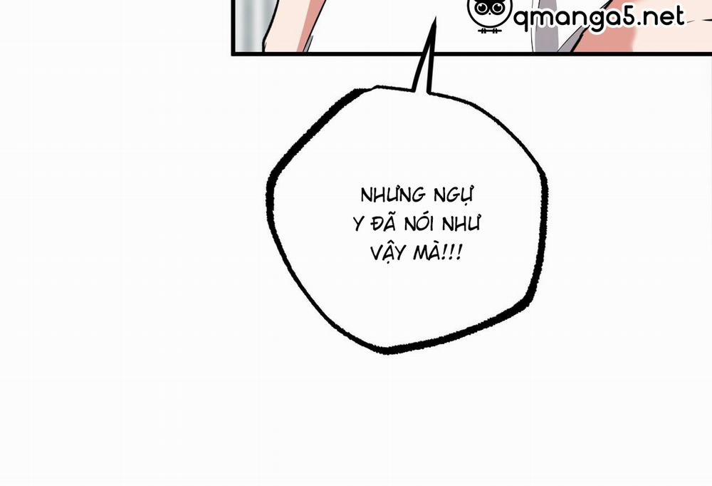 Đàn Thỏ Của Habibi 61 trang 18