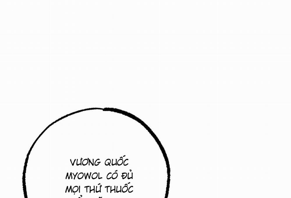 Đàn Thỏ Của Habibi 61 trang 19