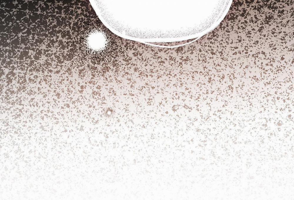 Đàn Thỏ Của Habibi 61 trang 210