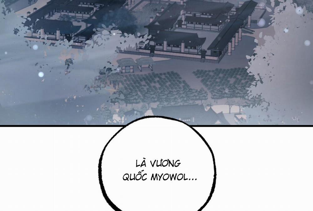 Đàn Thỏ Của Habibi 61 trang 253