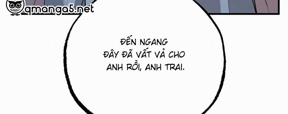 Đàn Thỏ Của Habibi 61 trang 266