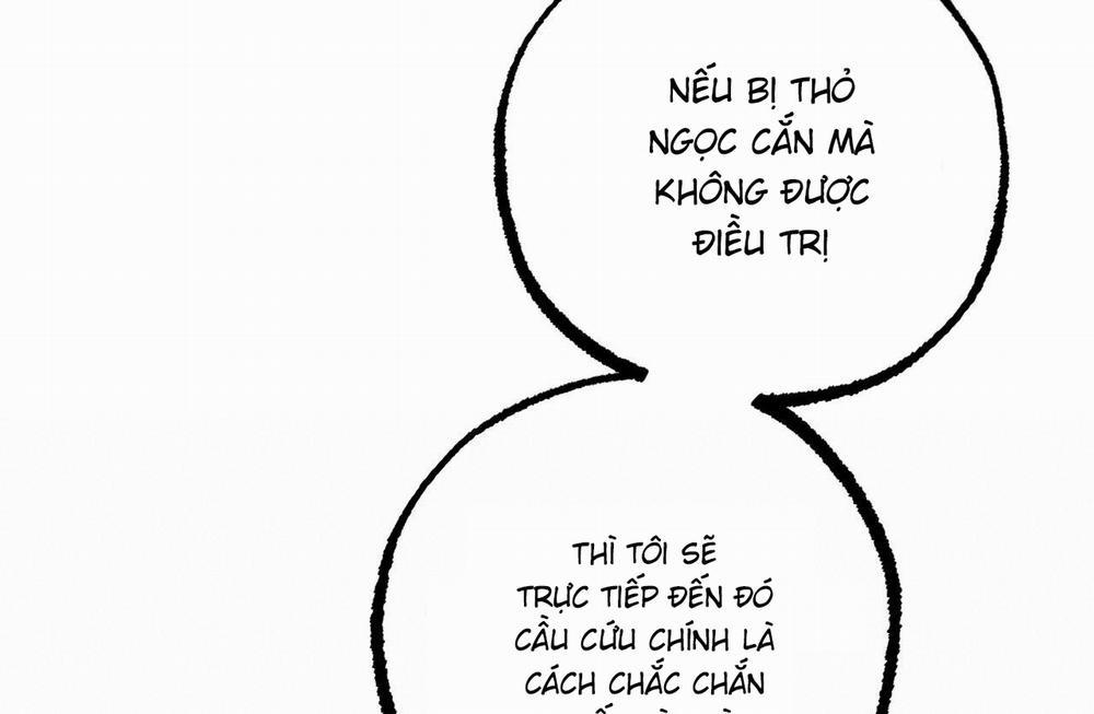 Đàn Thỏ Của Habibi 61 trang 27