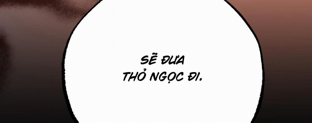 Đàn Thỏ Của Habibi 61 trang 282