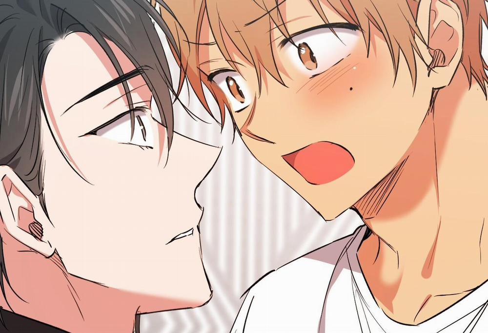 Đàn Thỏ Của Habibi 61 trang 3