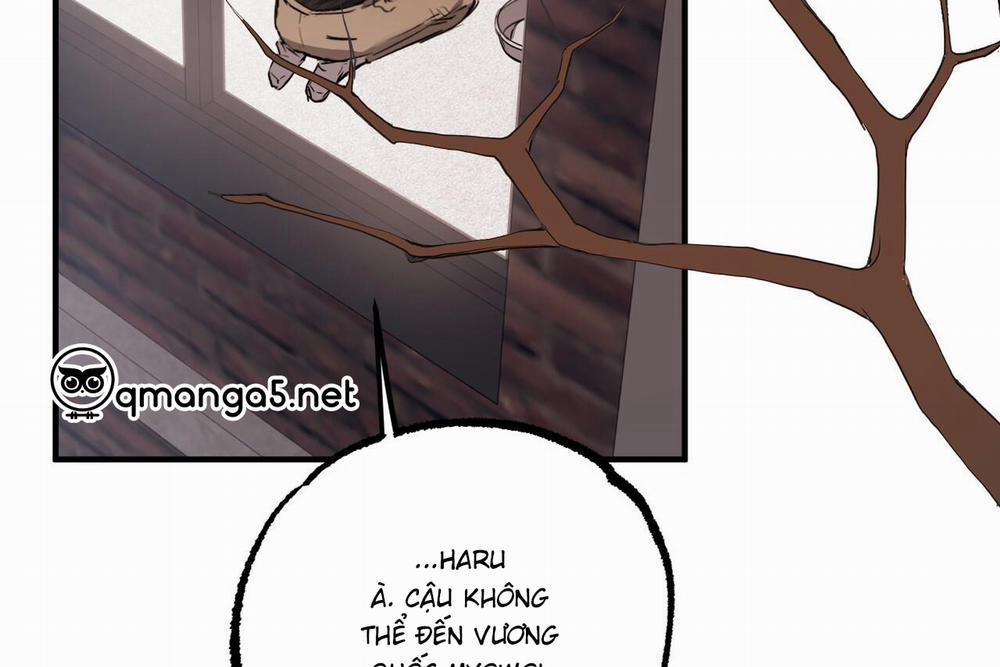 Đàn Thỏ Của Habibi 61 trang 50