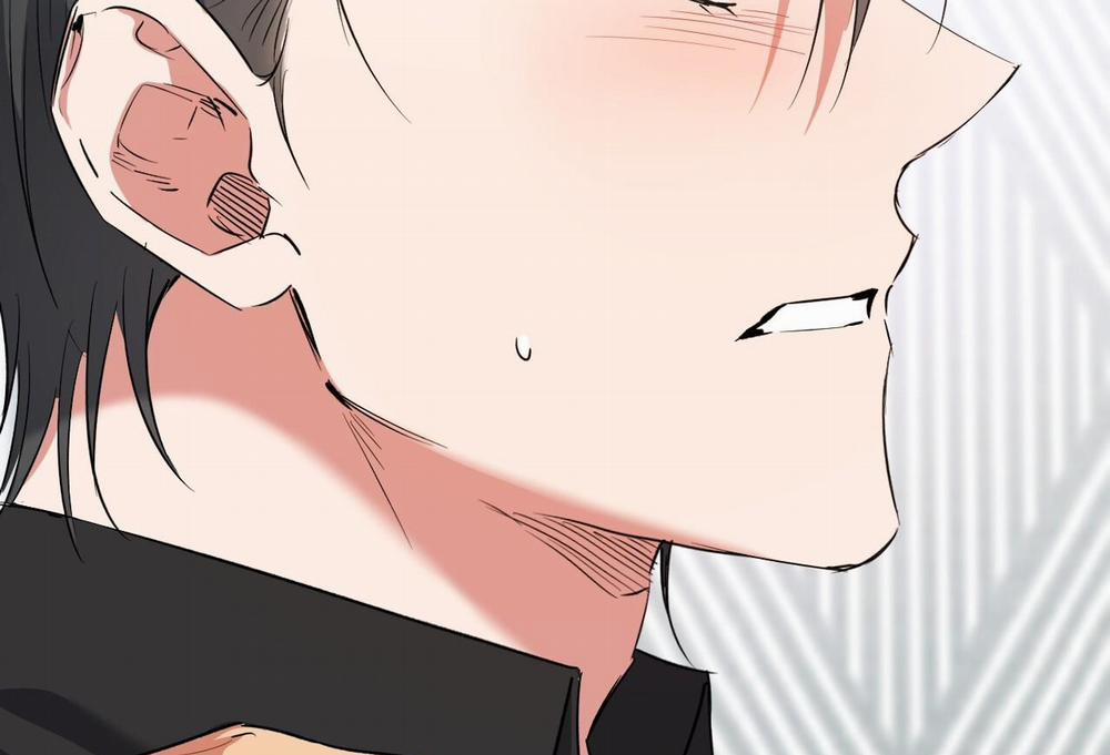 Đàn Thỏ Của Habibi 61 trang 8